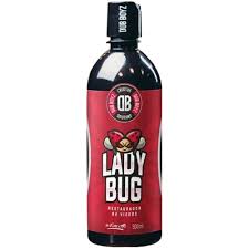 LADY BUG RESTAURADOR DE VIDROS 500ml